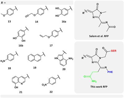 Two-Photon Absorption Cross-Sections in Fluorescent Proteins Containing Non-canonical Chromophores Using Polarizable QM/MM